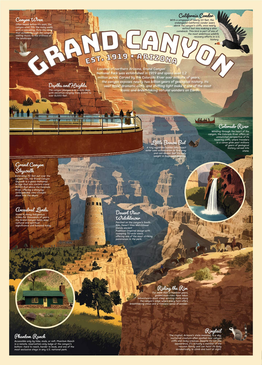 Grand Canyon Puzzle – 500 Pc Tube with Vintage Illustrations