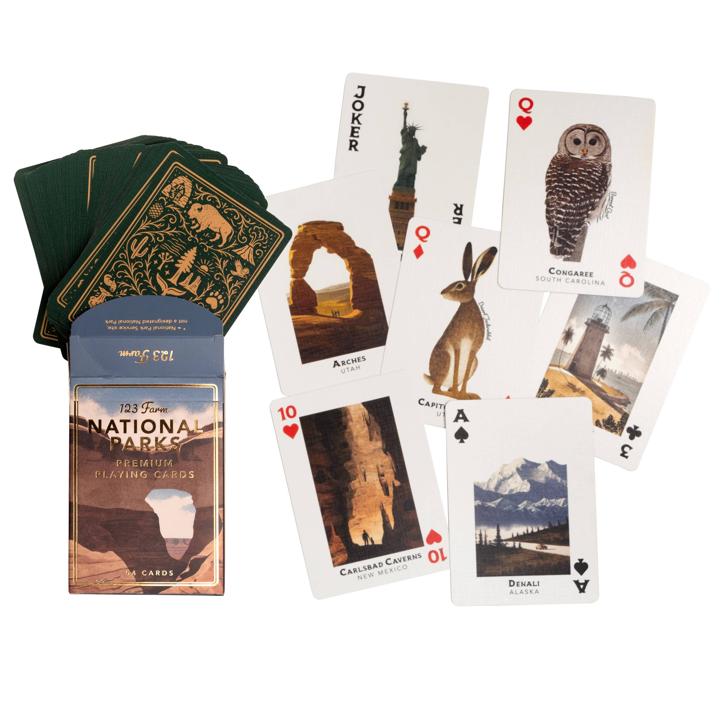 National Parks Illustrated Playing Cards Deck