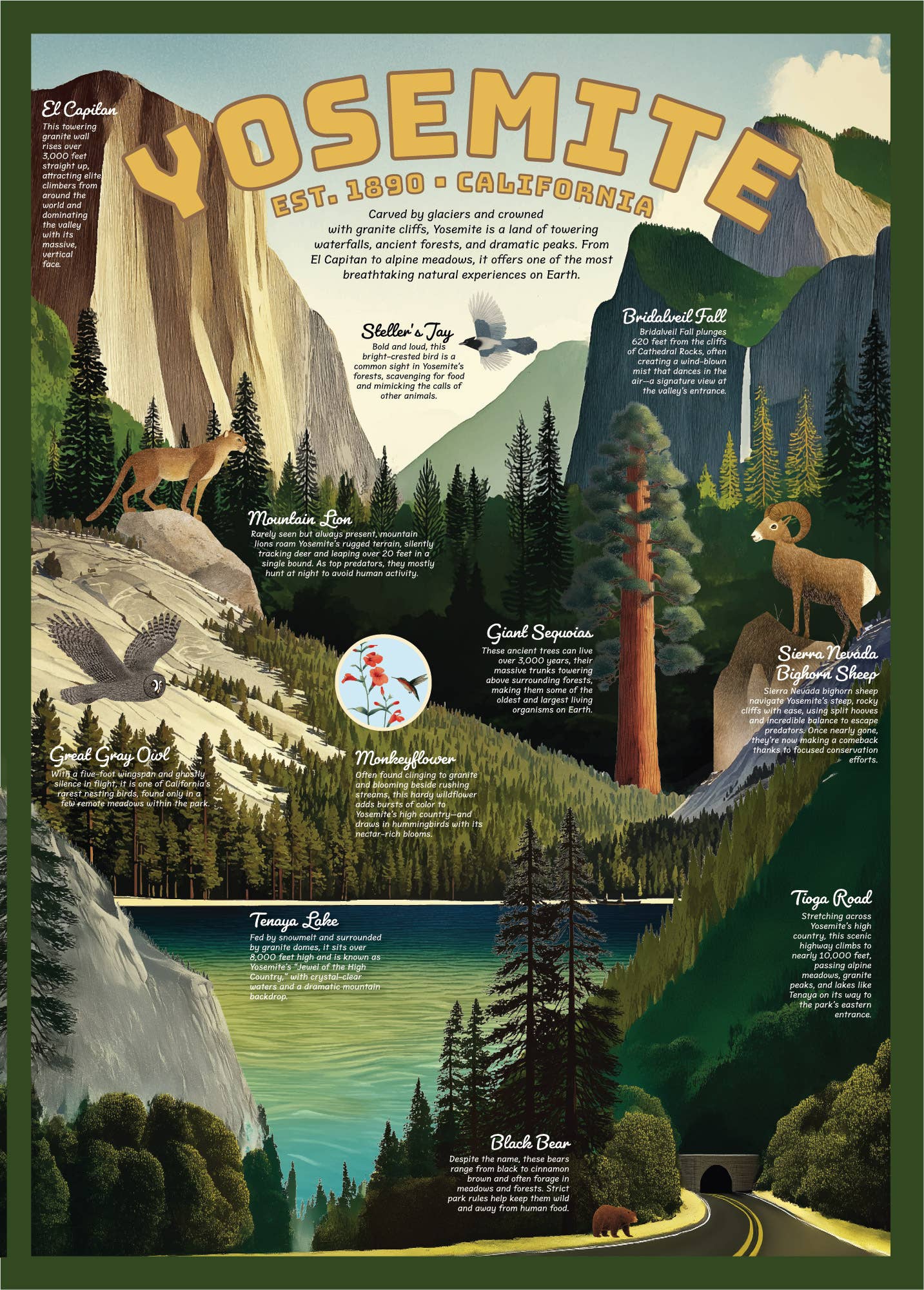 Yosemite Puzzle – 500 Pc Tube with Vintage Illustrations