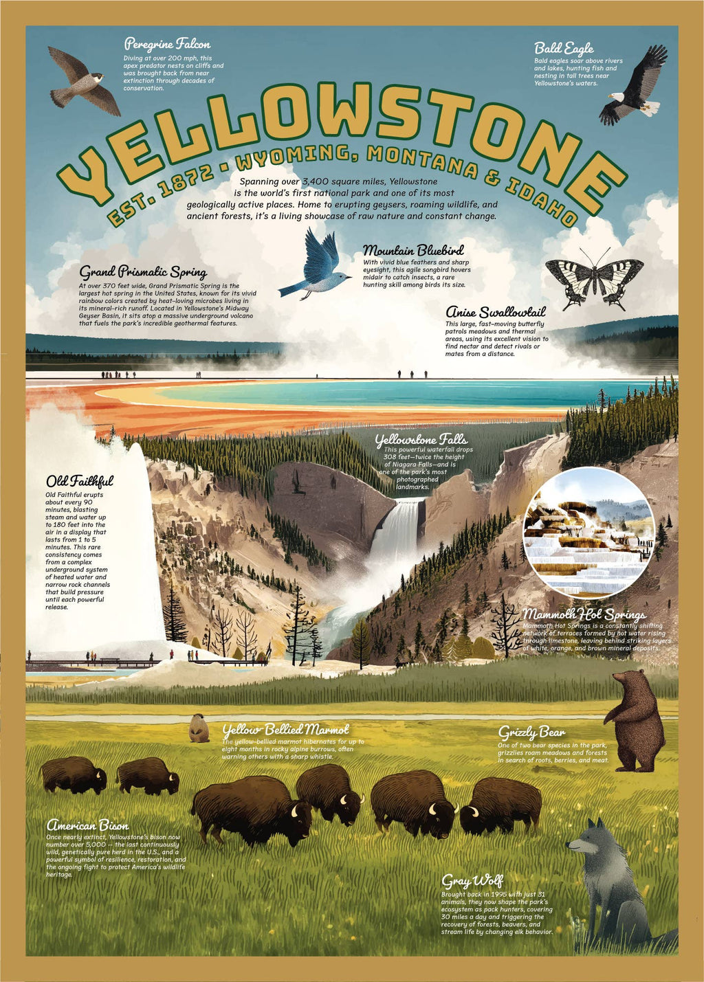 Yellowstone Puzzle – 500 Pc Tube with Vintage Illustrations